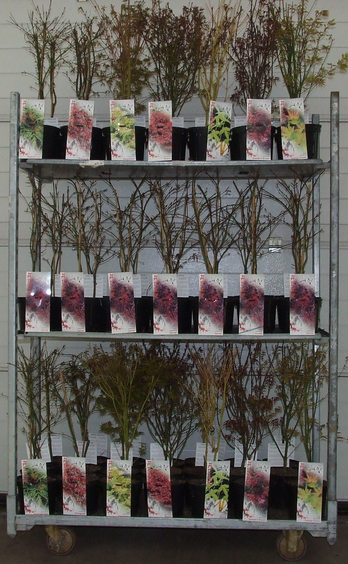 Acer mix-2 Full CC