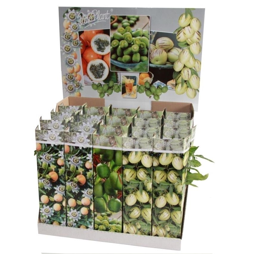 Exotic Fruit Mix