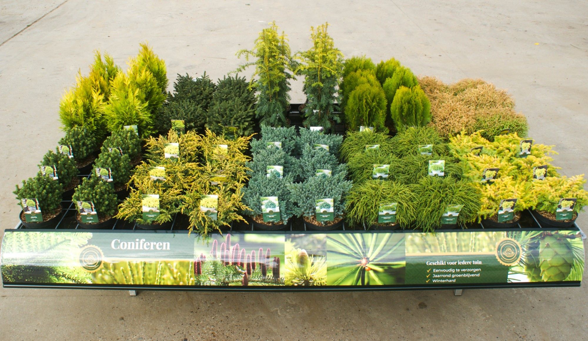 Craigmarloch nurseries. Outdoor plants