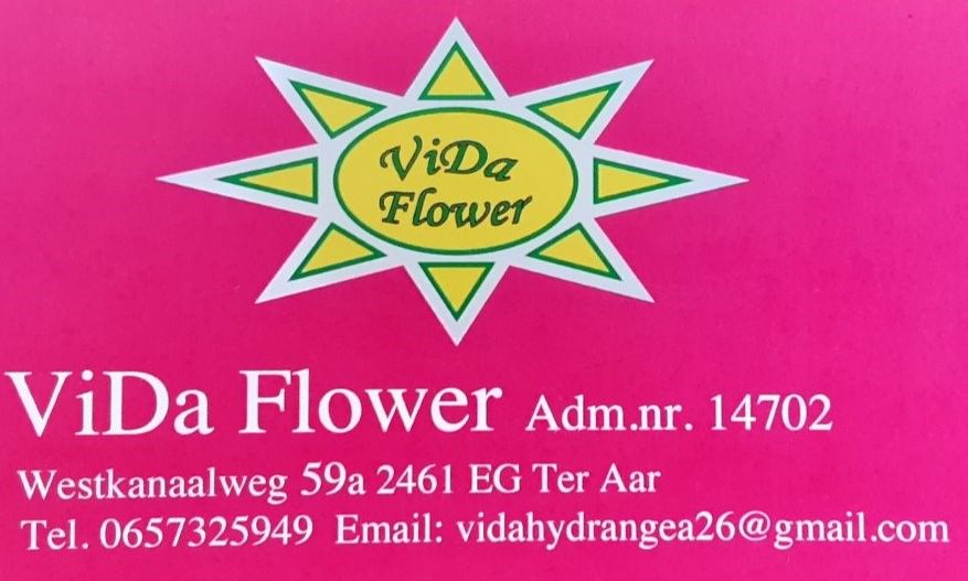 Vida Flower FloraXchange