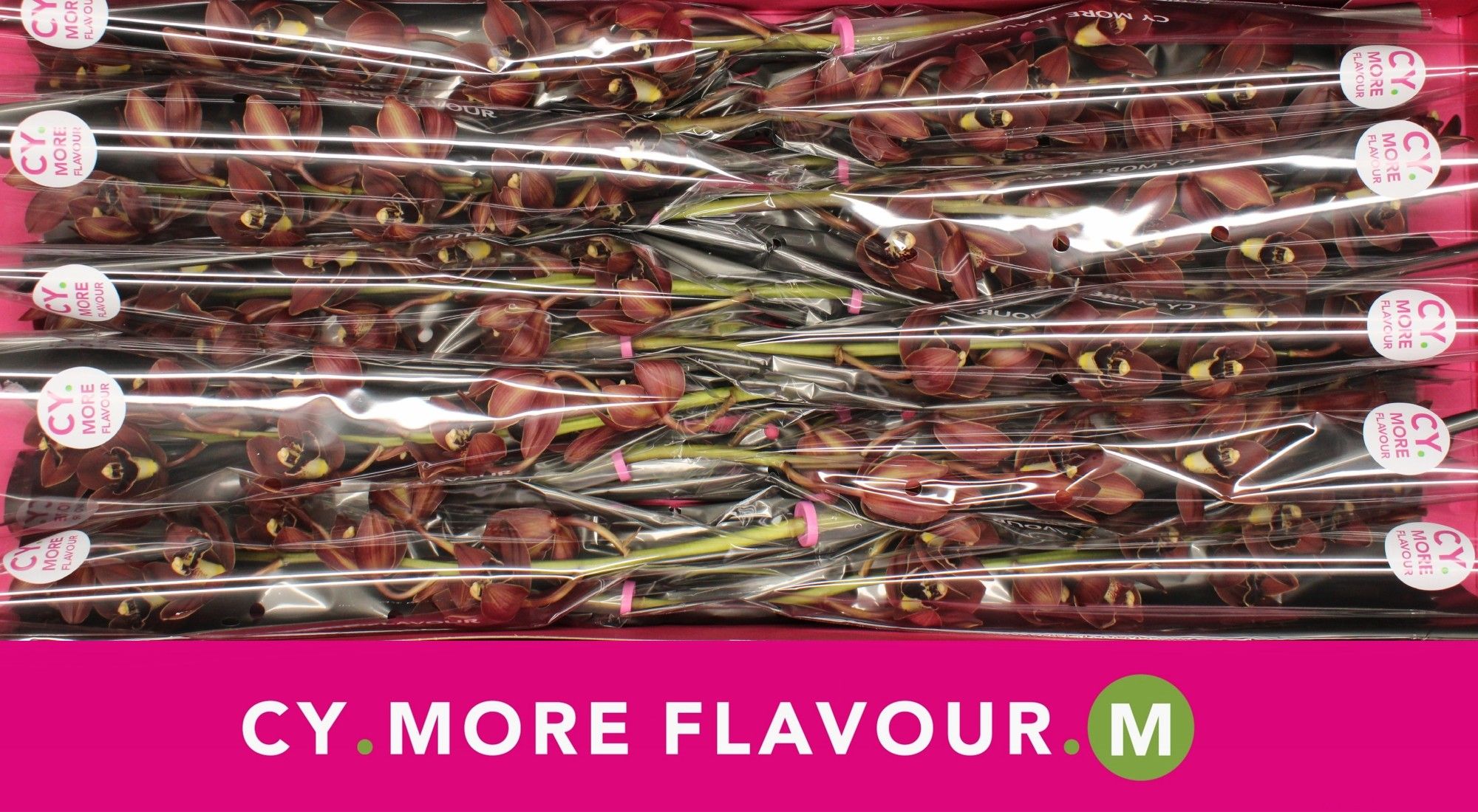 Cymb Mi Valerie